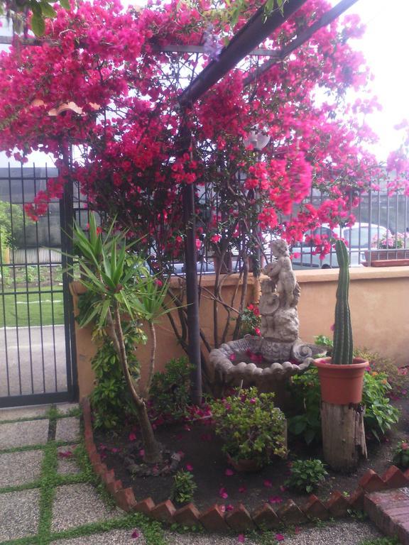 Domus Felix Bed and Breakfast Ερκολάνο Εξωτερικό φωτογραφία